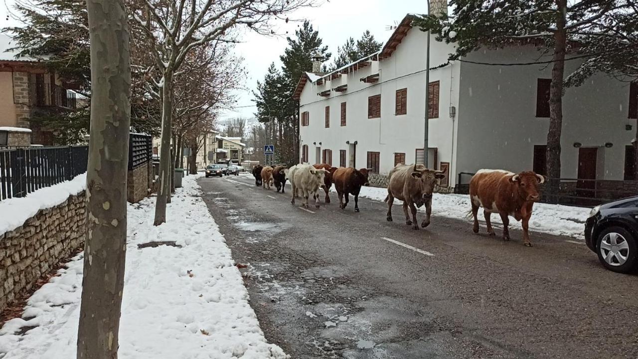 Apartamento La Montesa La Virgen de la Vega Zewnętrze zdjęcie